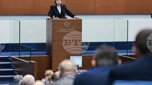 No Changes Should Be Made to Election Code at This Stage, Says BSP-United Left’s Kiselova