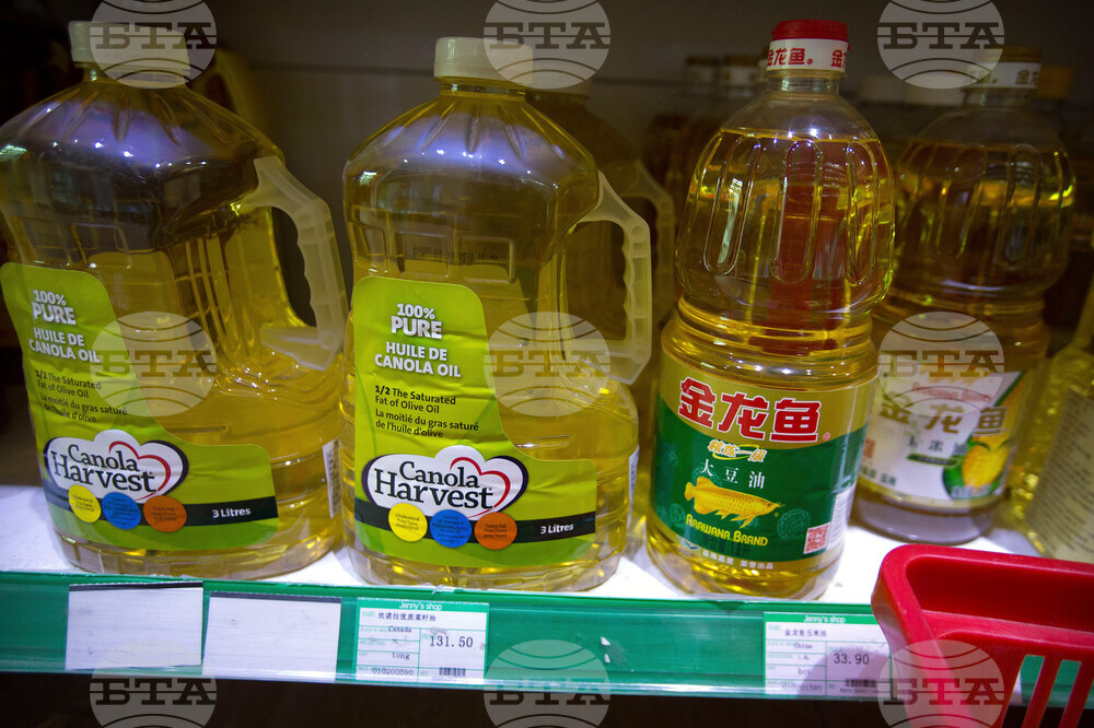 China Canada Timeline