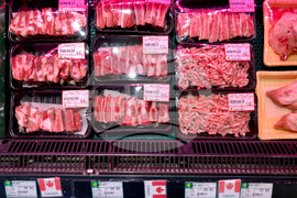 China Canada Timeline