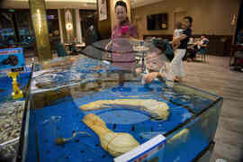 China Canada Timeline