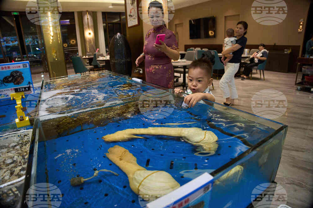 China Canada Timeline