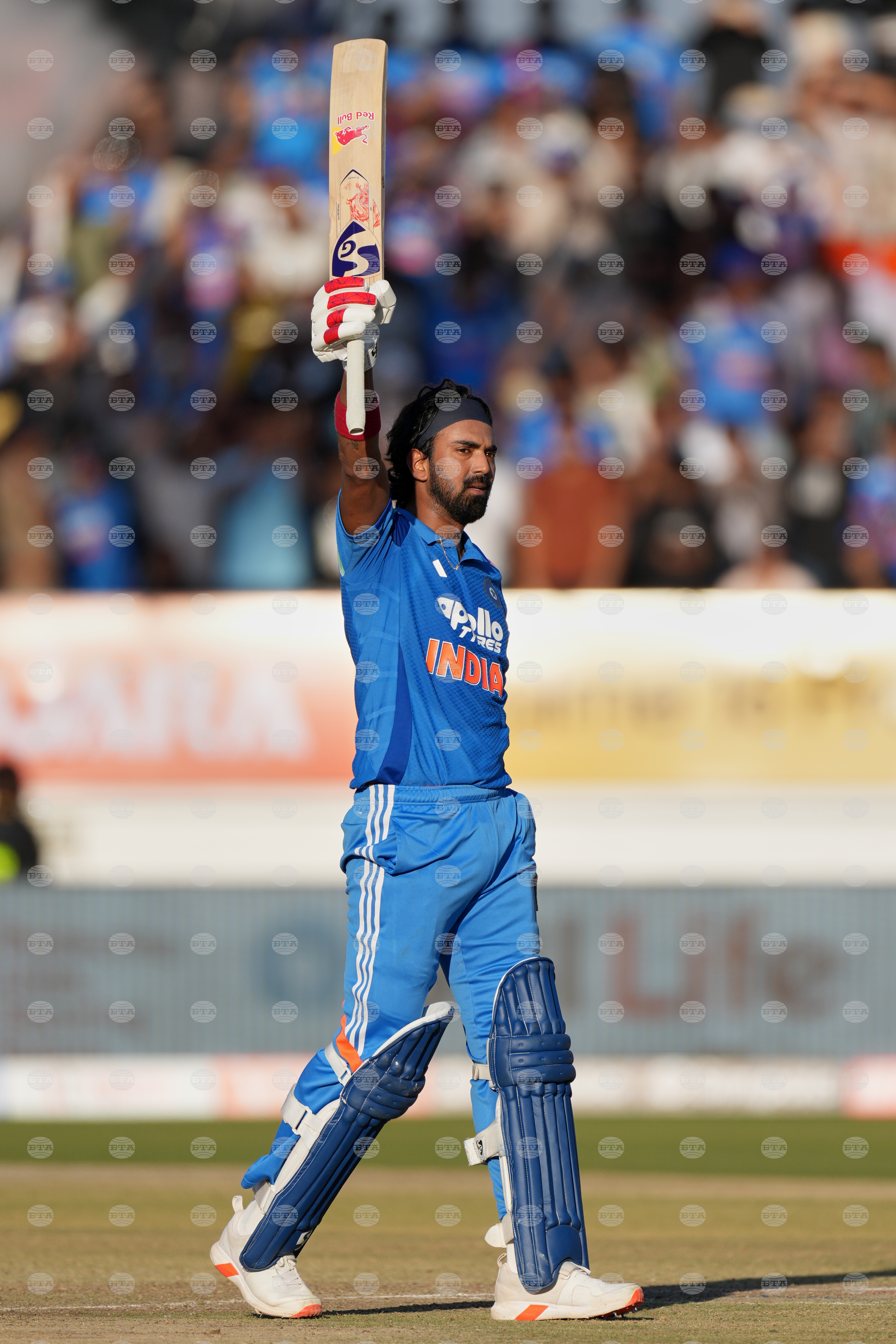 India New Zealand Cricket