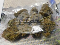 Снимка: ОДМВР – Разград