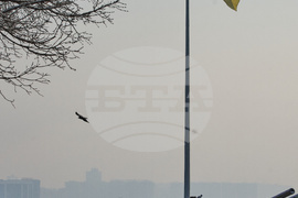 Russia Ukraine War Weather