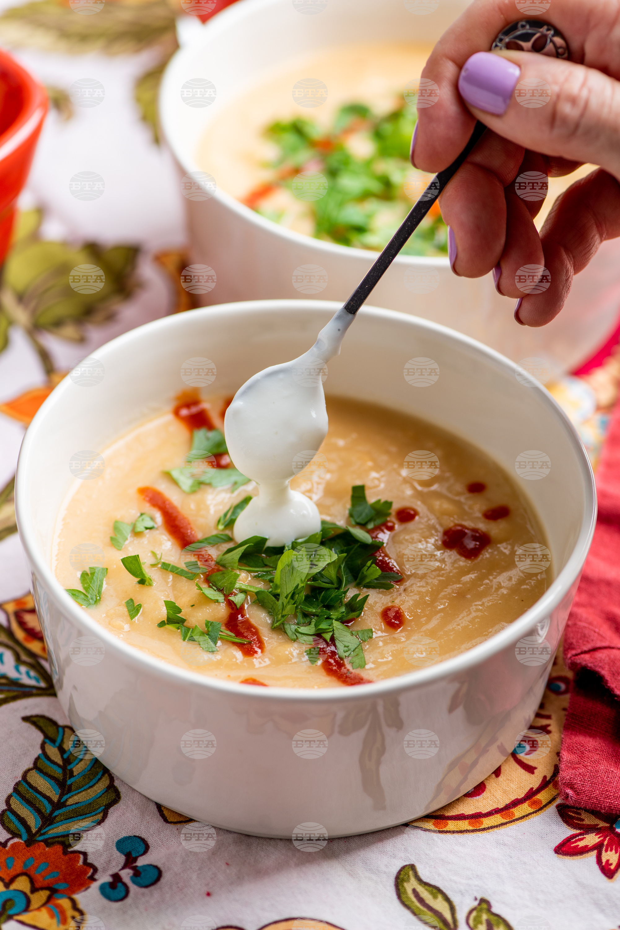 Food - Root Vegetable- Cheddar Soup