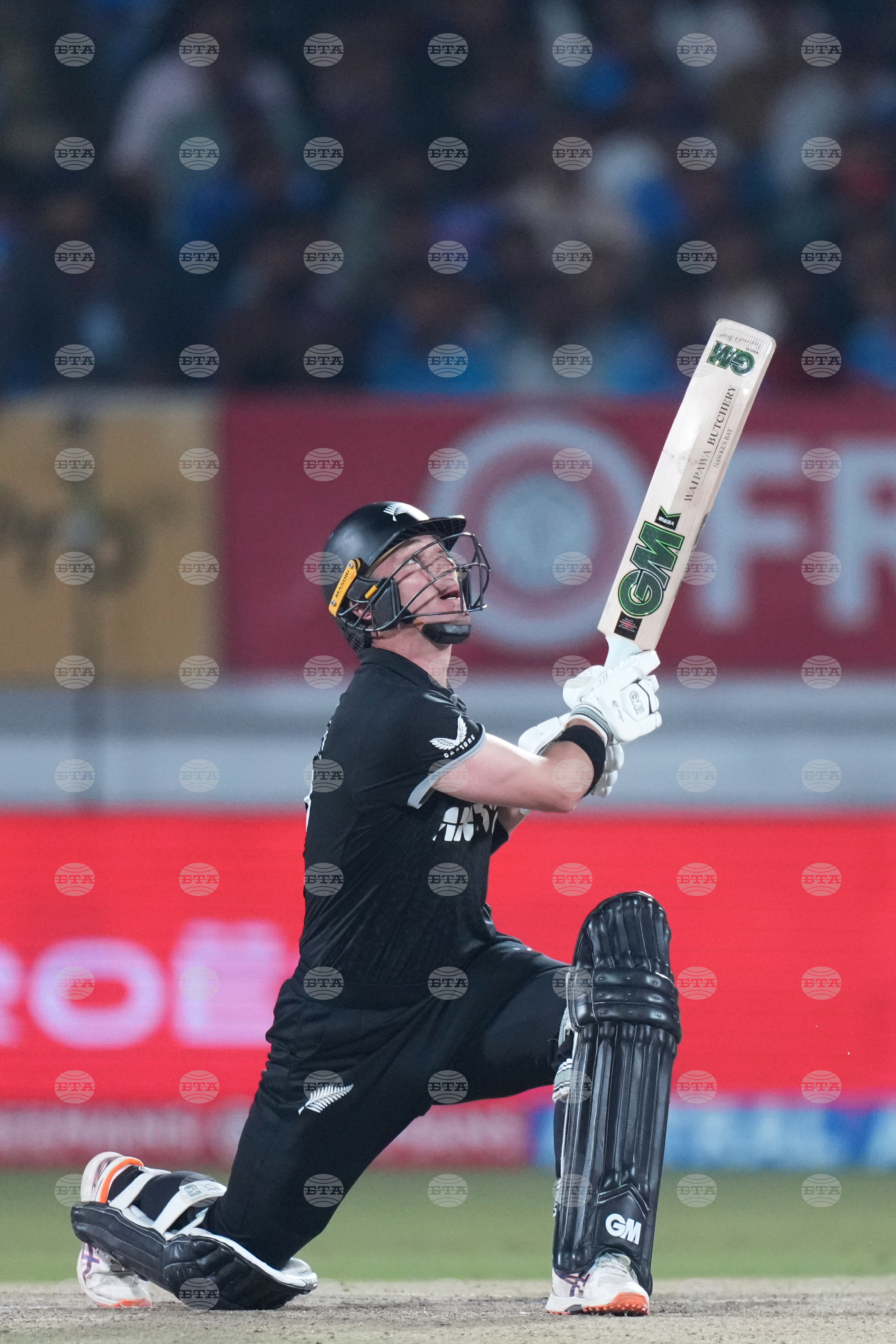 India New Zealand Cricket