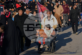 Iraq Shiite Pilgrims
