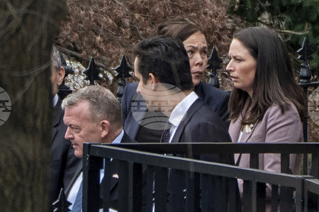 Trump Denmark Greenland