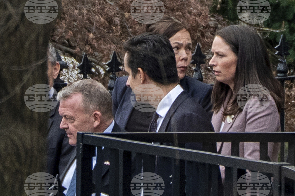 Trump Denmark Greenland