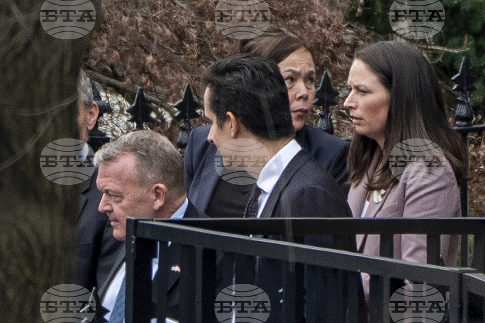 Trump Denmark Greenland