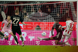 Germany Bundesliga Soccer