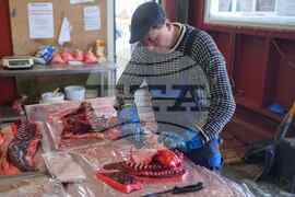 Greenland Daily Life