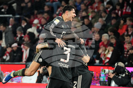 Germany Bundesliga Soccer