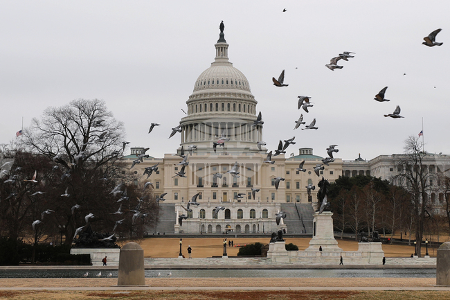 U.S. Capitol