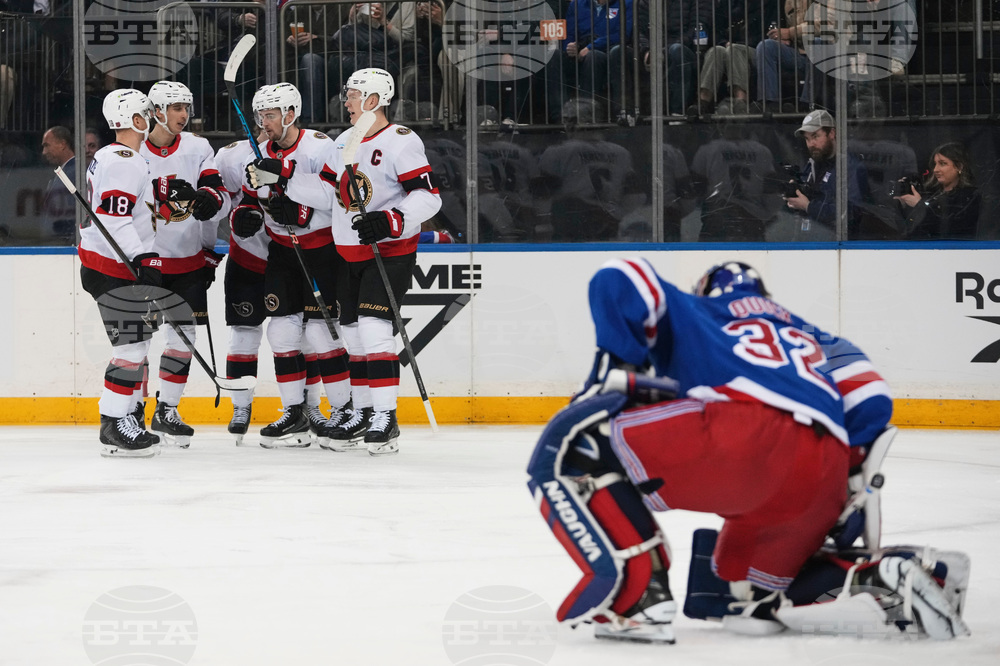 Senators Rangers Hockey