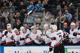 Senators Rangers Hockey