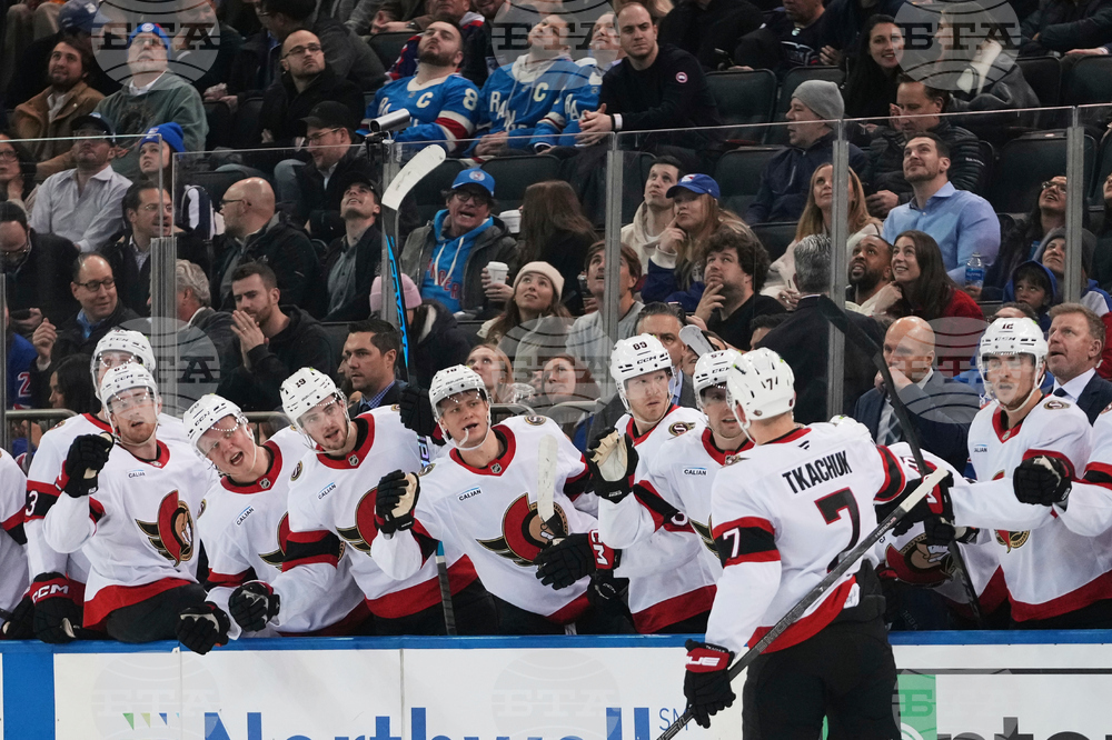 Senators Rangers Hockey