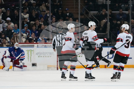 Senators Rangers Hockey