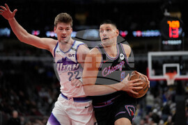 Jazz Bulls Basketball