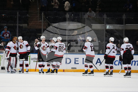 Senators Rangers Hockey