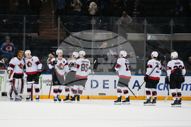 Senators Rangers Hockey