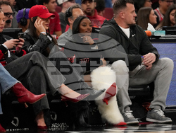 Jazz Bulls Basketball