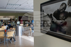 Tiger's Foundation Golf