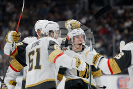 Golden Knights Kings Hockey