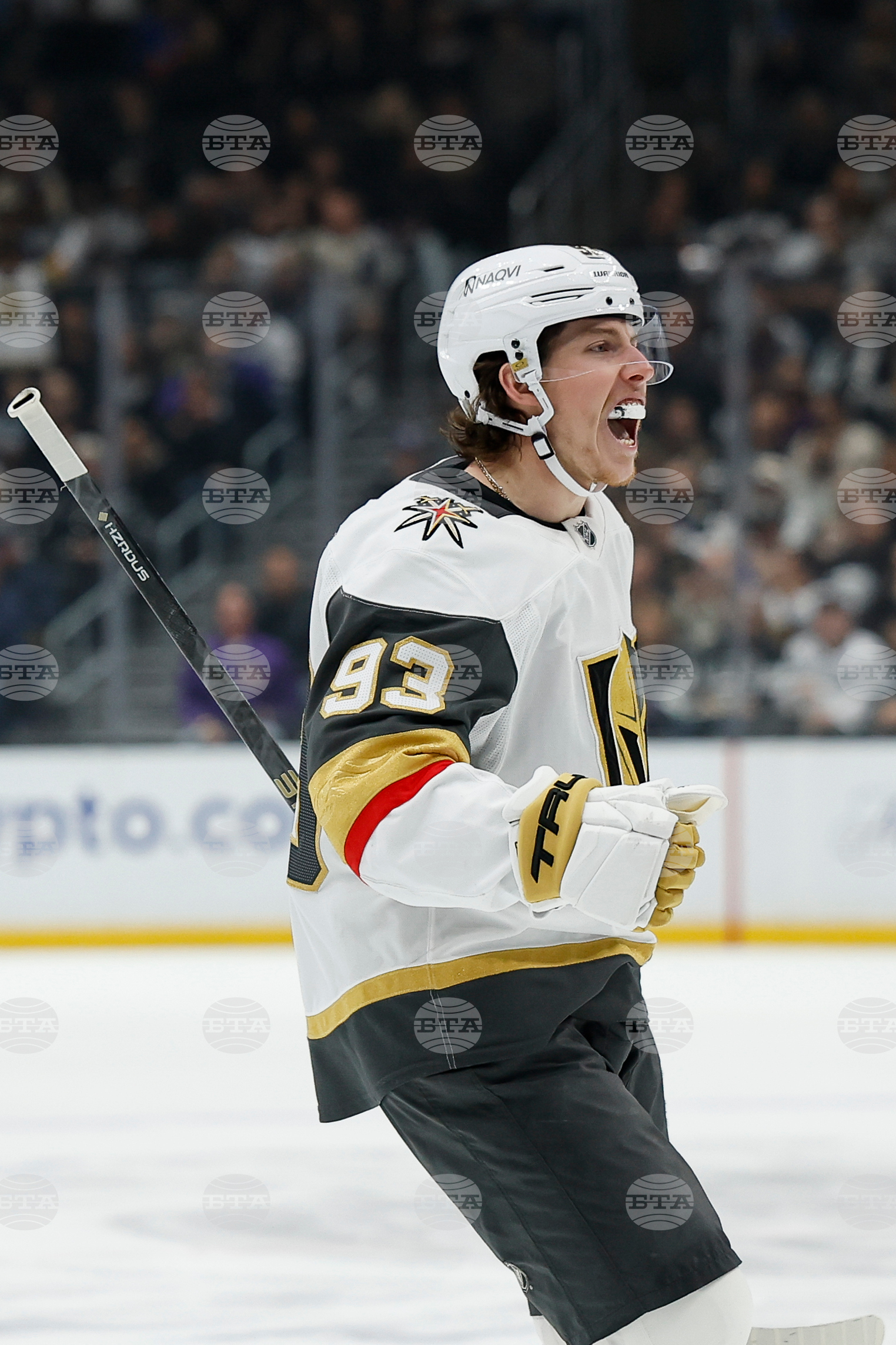 Golden Knights Kings Hockey