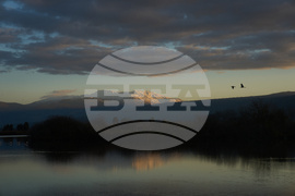 Israel Migrant Birds