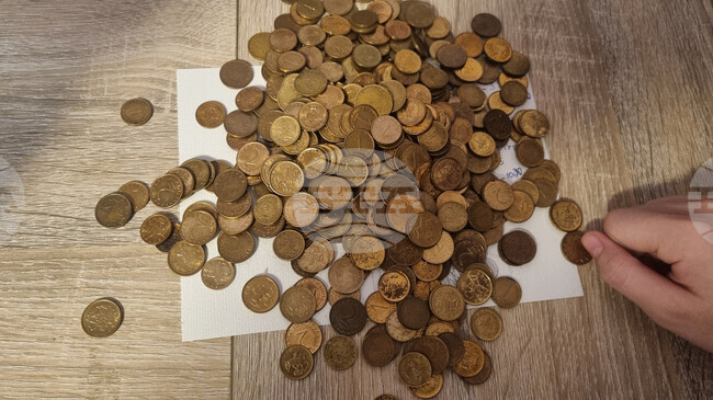 В Търговище събират жълти стотинки в кампания за подкрепа на кучетата от общинския приют 