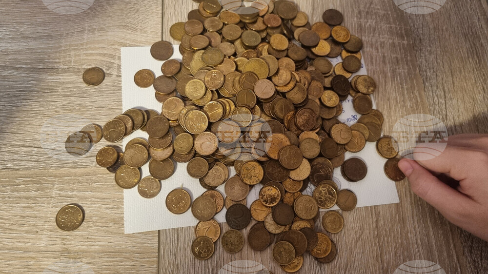 В Търговище събират жълти стотинки в кампания за подкрепа на кучетата от общинския приют 