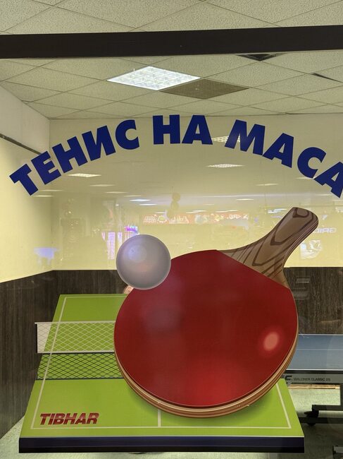 Община Стара Загора: Ученически игри по тенис на маса