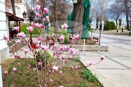 Видин - топло време