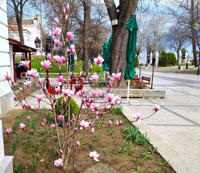 Видин - топло време 