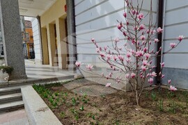 Видин - топло време