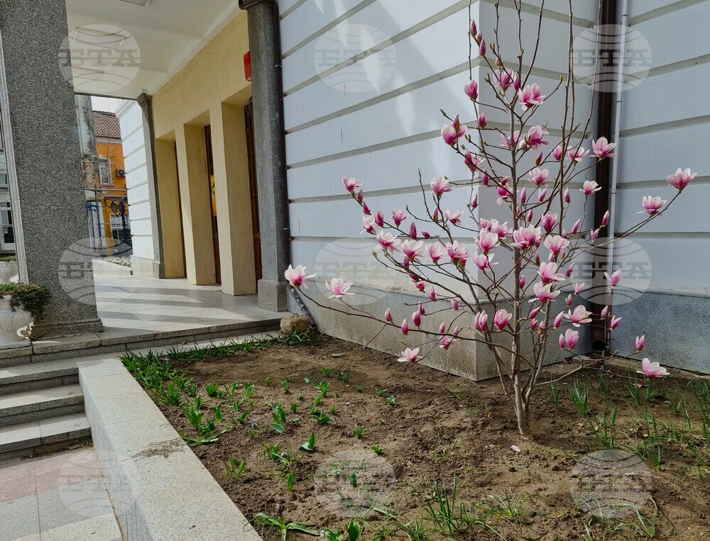 Видин - топло време
