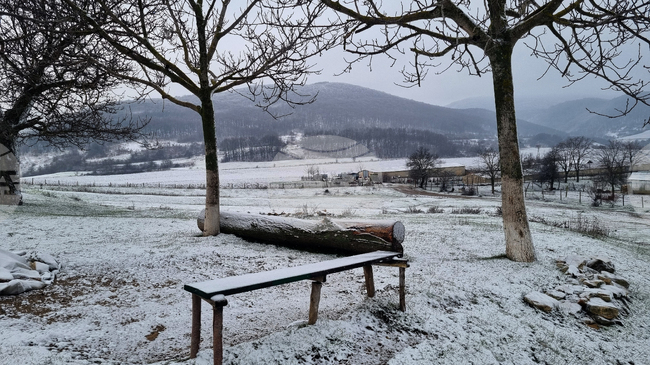 Прогноза за времето