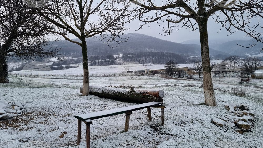 Прогноза за времето