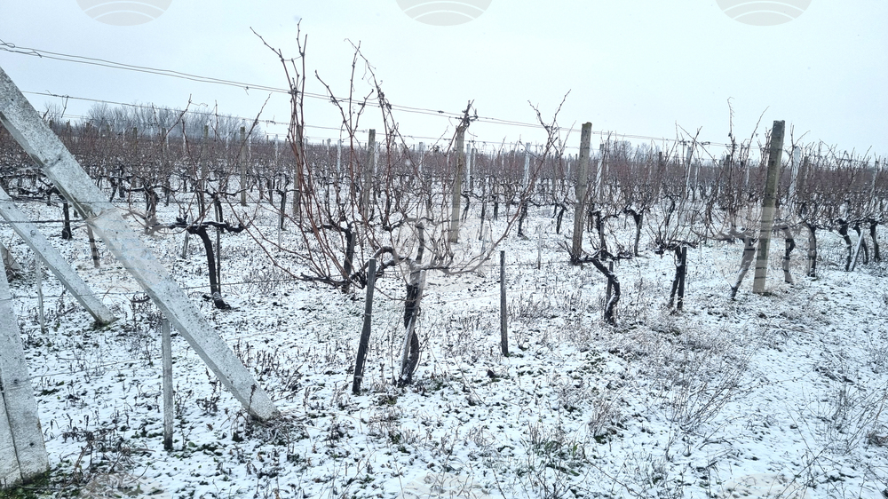 Бюрата по труда в област Търговище обявиха свободни позиции за агроном, логопед и управител 