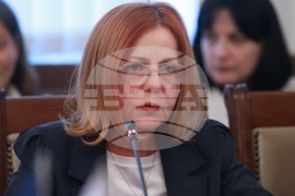 Народно събрание - Комисия по външна политика - Комисията по европейските въпроси - заседание