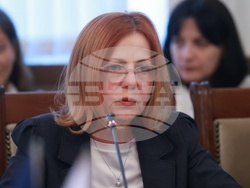 Народно събрание - Комисия по външна политика - Комисията по европейските въпроси - заседание