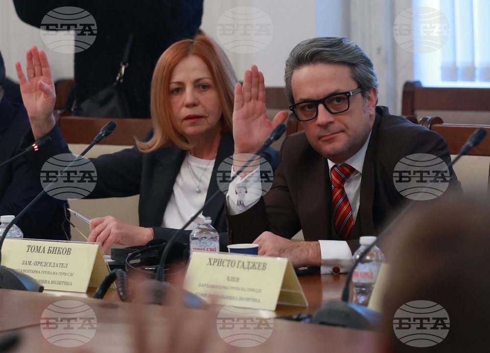 Народно събрание - Комисия по външна политика - Комисията по европейските въпроси - заседание