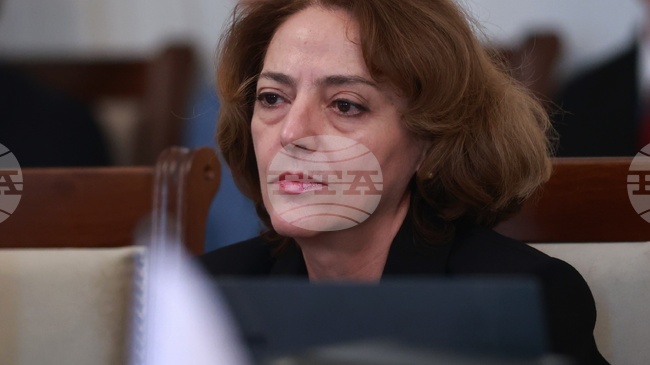 Бихме се радвали да отбележим всеки прогрес в РСМ, но не виждаме такъв, каза зам.-министърът на външните работи Елена Шекерлетова