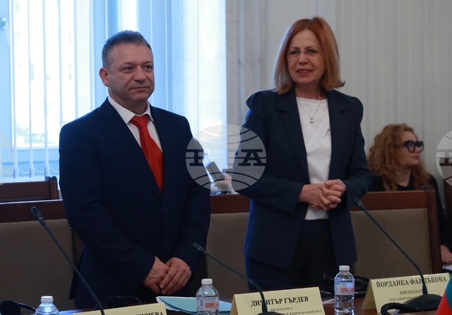 Председателят на Комисията по европейските въпроси Димитър Гърдев определи като недопустим акт атаката над посолството ни в Скопие