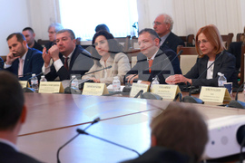 Народно събрание - Комисия по външна политика - Комисията по европейските въпроси - заседание