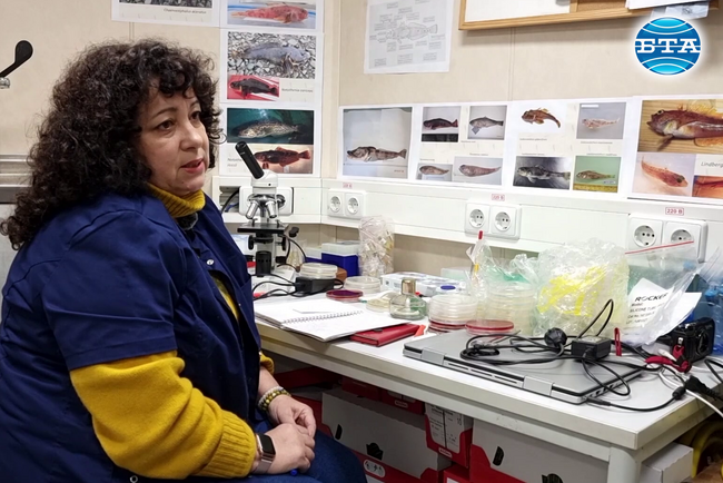 Микробиологът доц. Петя Орозова: Антарктическата морска екосистема е уязвима спрямо човешко влияние