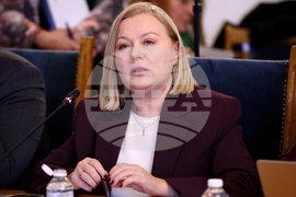 Народно събрание - Комисия по конституционни и правни въпроси