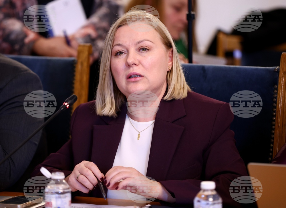 CC-DB Co-Floor Leader Iordanova: Rumen Radev Is Yet to State His Positions