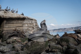 Climate Solution Desalination